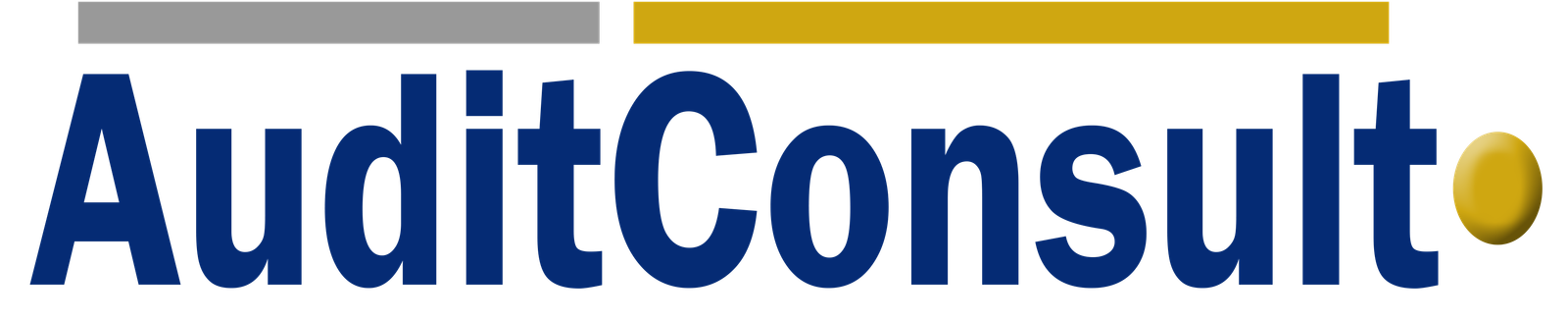 AuditConsult