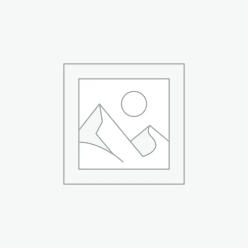 Registry Access Fee